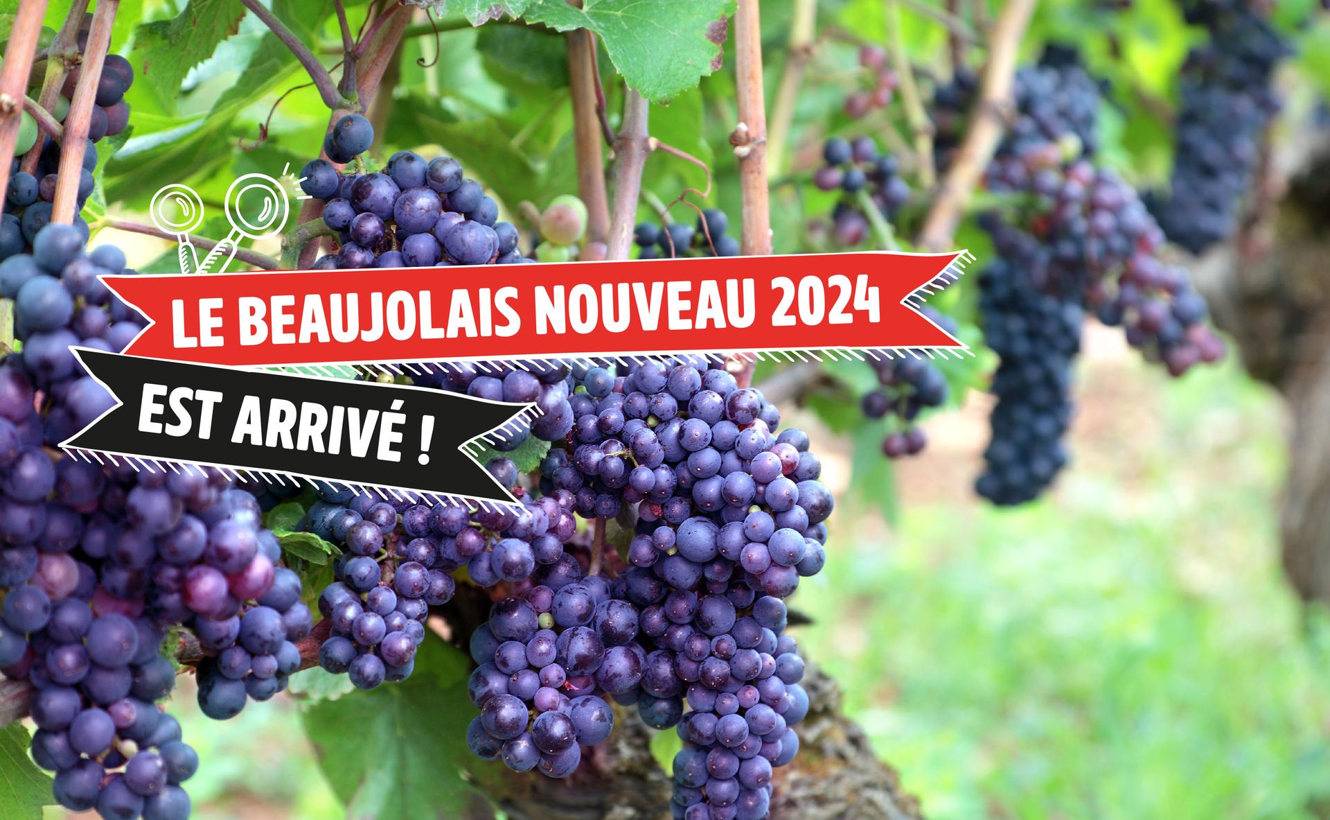 BEAUJOLAIS 2024.jpg